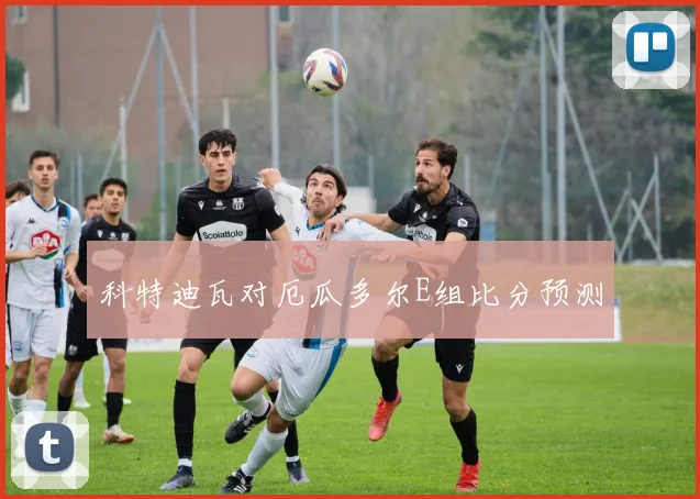 科特迪瓦对厄瓜多尔E组比分预测