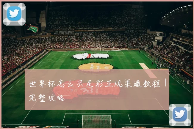 世界杯怎么买足彩正规渠道教程｜完整攻略