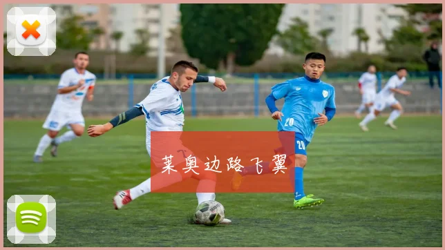 莱奥边路飞翼