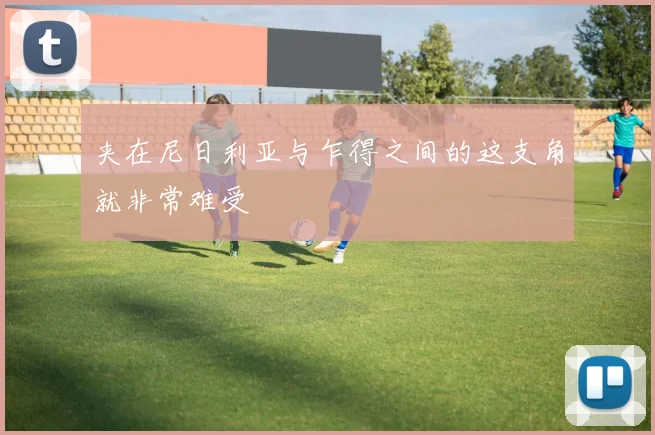夹在尼日利亚与乍得之间的这支角就非常难受