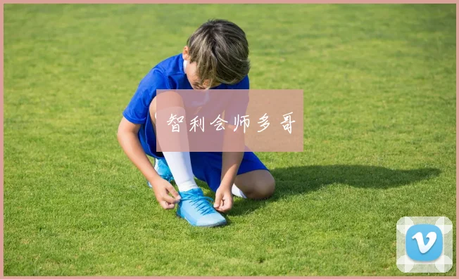 智利会师多哥