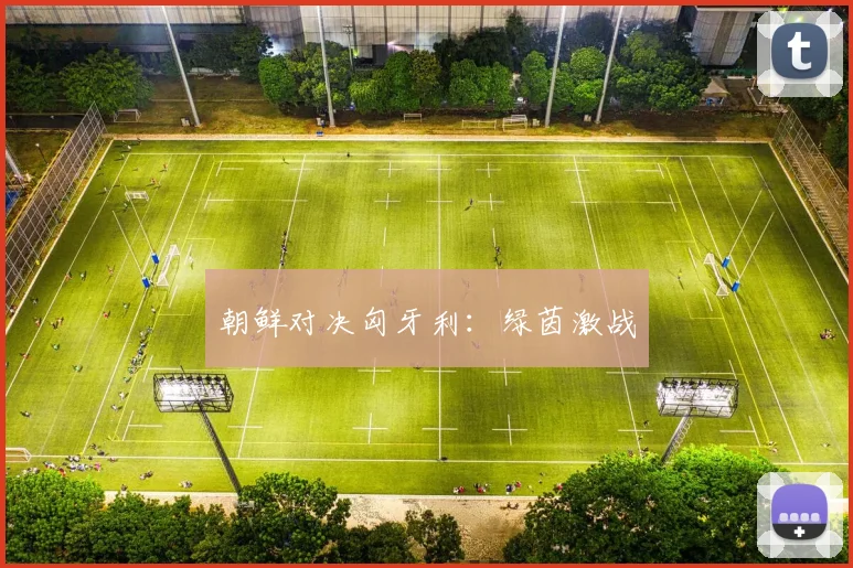 朝鲜对决匈牙利：绿茵激战