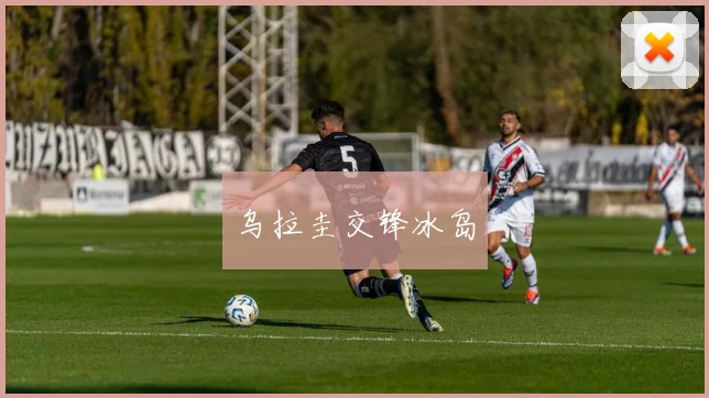 乌拉圭交锋冰岛