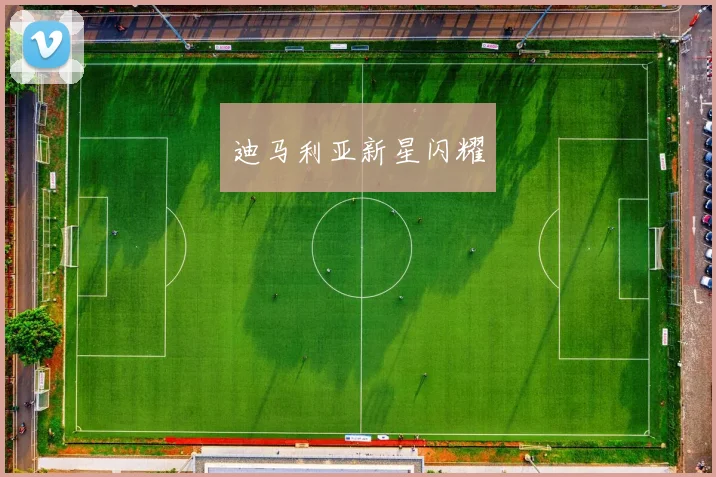 迪马利亚新星闪耀