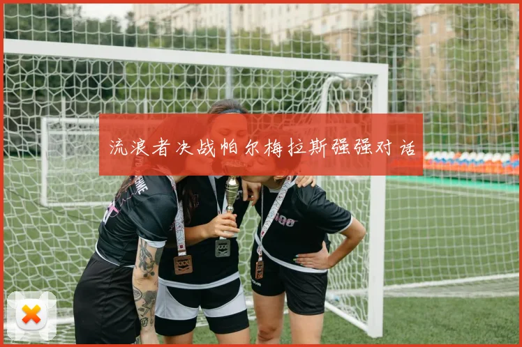 流浪者决战帕尔梅拉斯强强对话