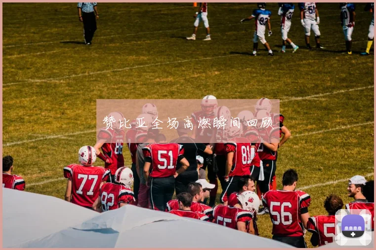 赞比亚全场高燃瞬间回顾