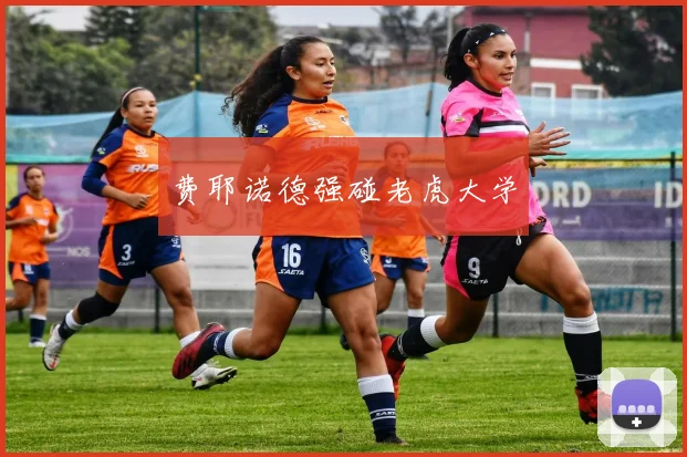 费耶诺德强碰老虎大学