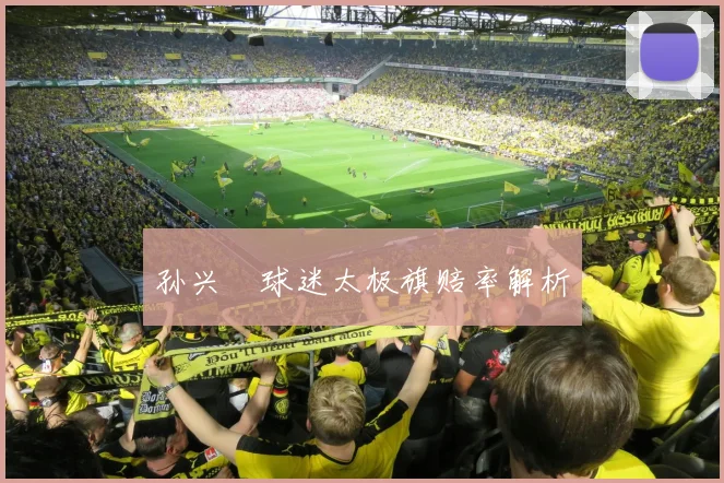 孙兴慜球迷太极旗赔率解析
