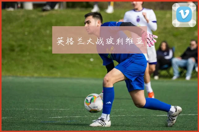 英格兰大战玻利维亚