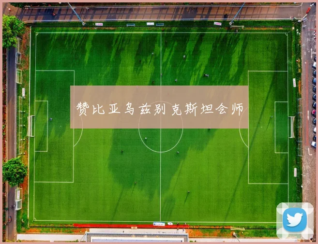 赞比亚乌兹别克斯坦会师
