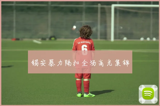 锡安暴力隔扣全场高光集锦