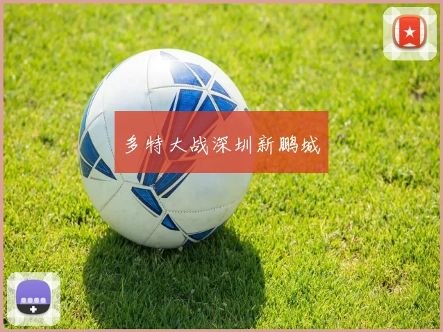多特大战深圳新鹏城