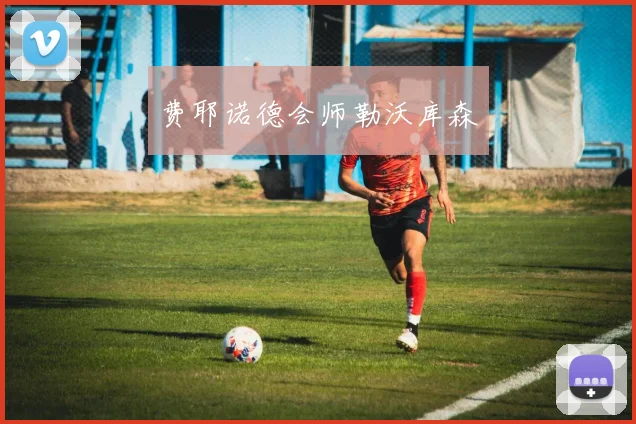 费耶诺德会师勒沃库森