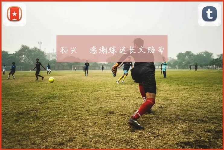 孙兴慜感谢球迷长文赔率