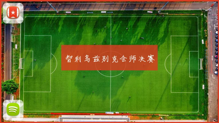 智利乌兹别克会师决赛