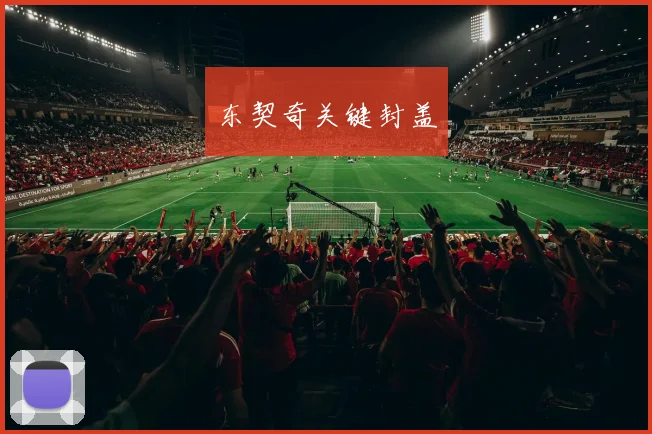 东契奇关键封盖