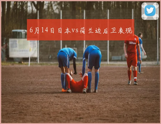 6月14日日本vs荷兰边后卫表现