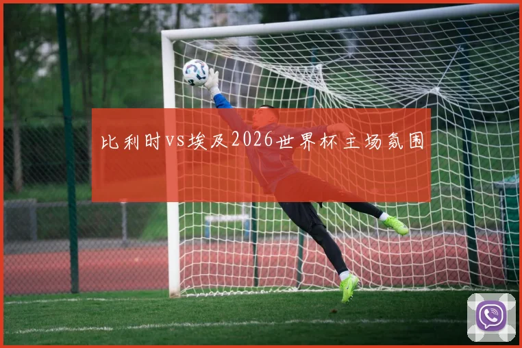比利时vs埃及2026世界杯主场氛围