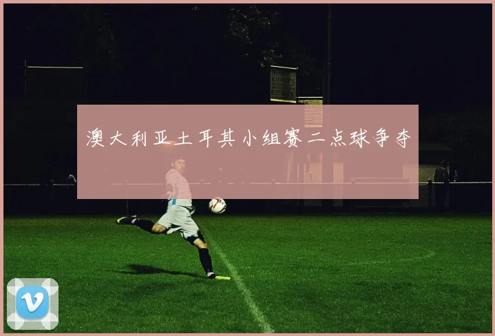 澳大利亚土耳其小组赛二点球争夺