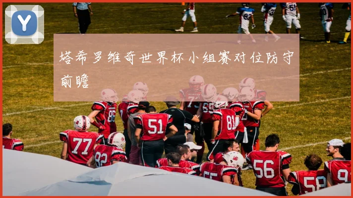 塔希罗维奇世界杯小组赛对位防守前瞻