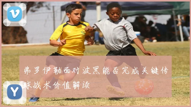 弗罗伊勒面对波黑能否完成关键传球战术价值解读