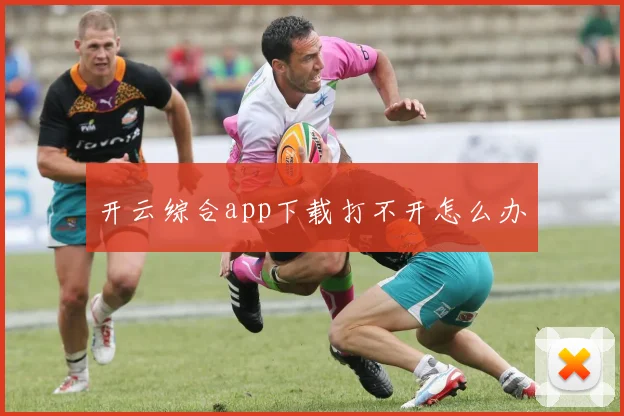 开云综合app下载打不开怎么办