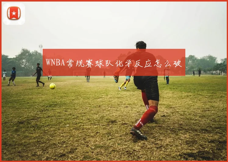WNBA常规赛球队化学反应怎么破